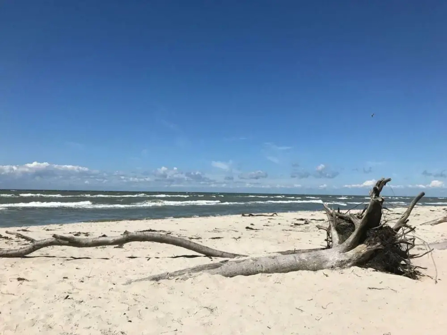 Am Rotdorn Modern Retreat