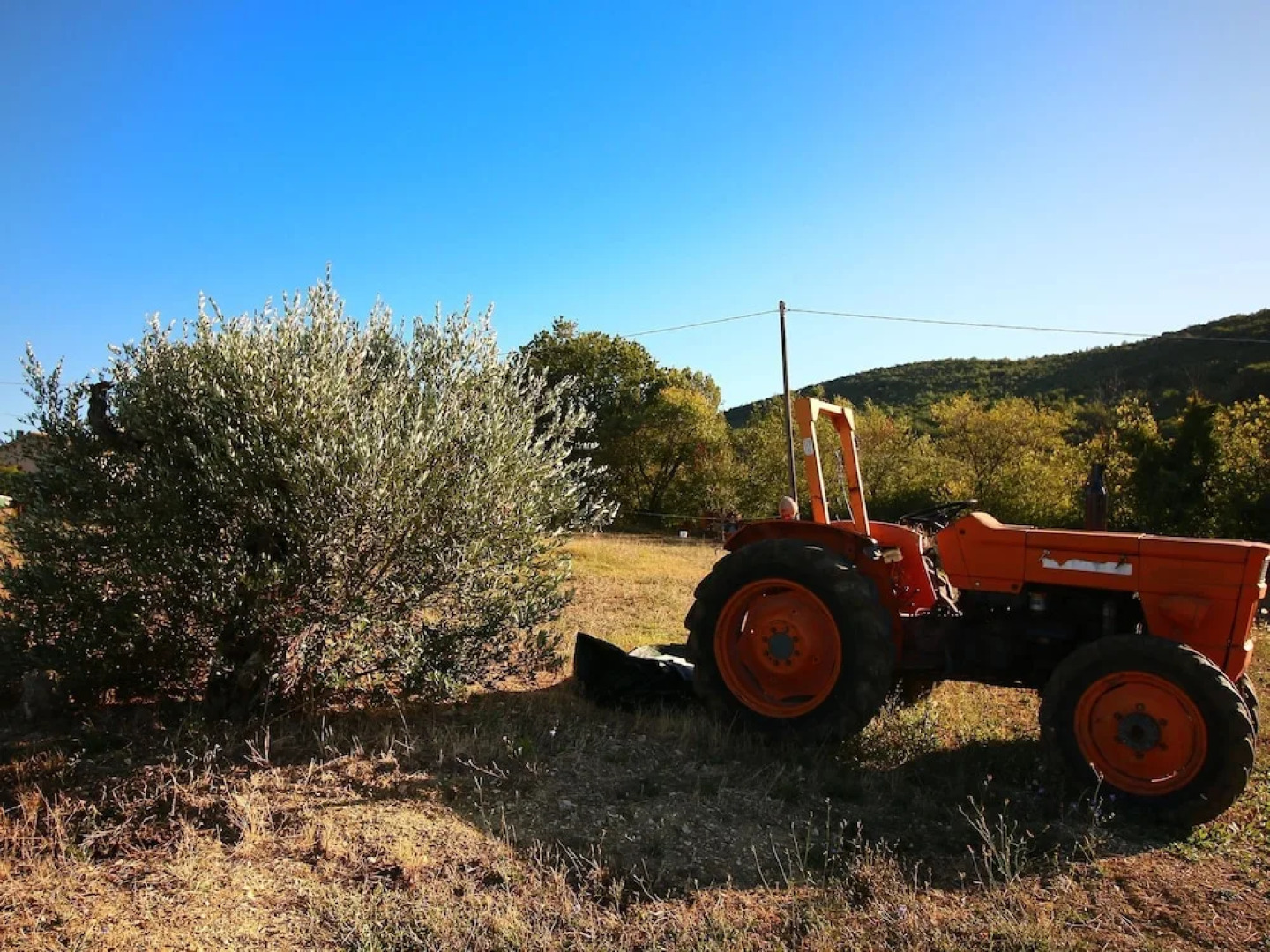 This Medieval Castle in Umbria Dates From the 13th Century