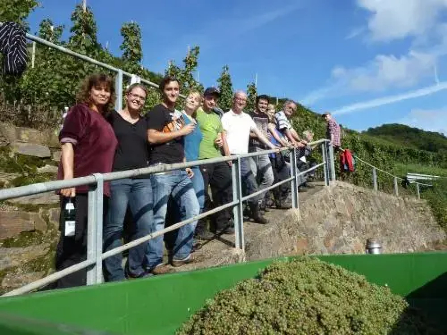 Weingut im Moselkrampen