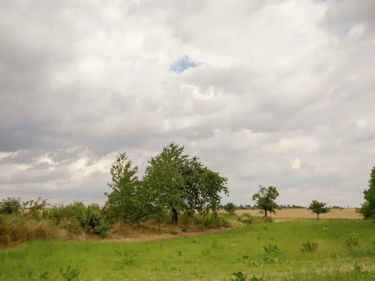 Apartment in Harz With Terrace