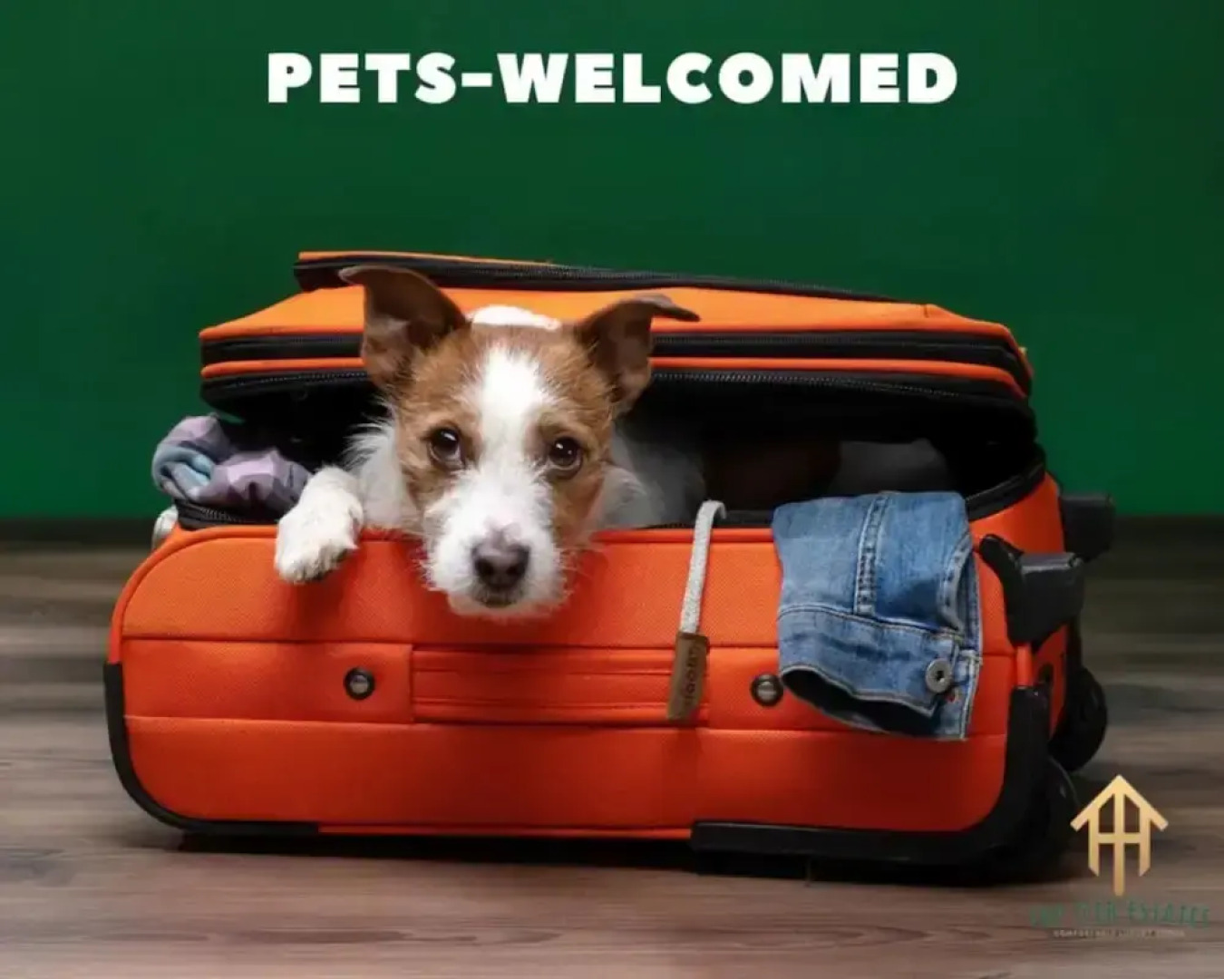 Stockyards- 4min Pet Friendly 3BR Luxe Gem