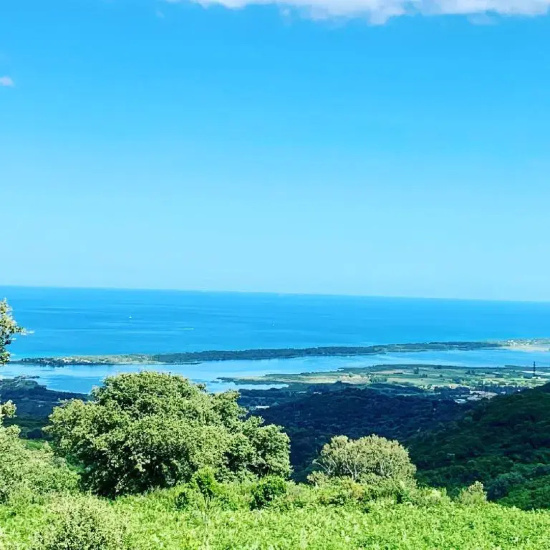 La villa Flamingo toute proche de la plage