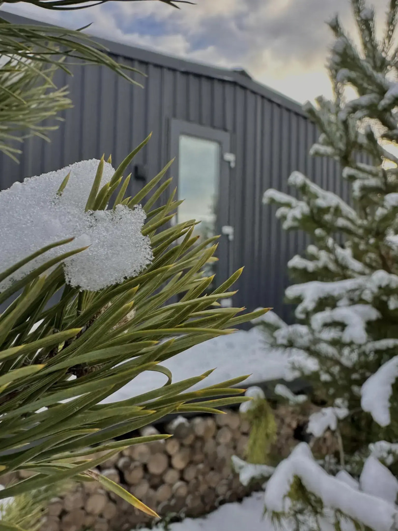 Skandi Life (Сканди Лайф)