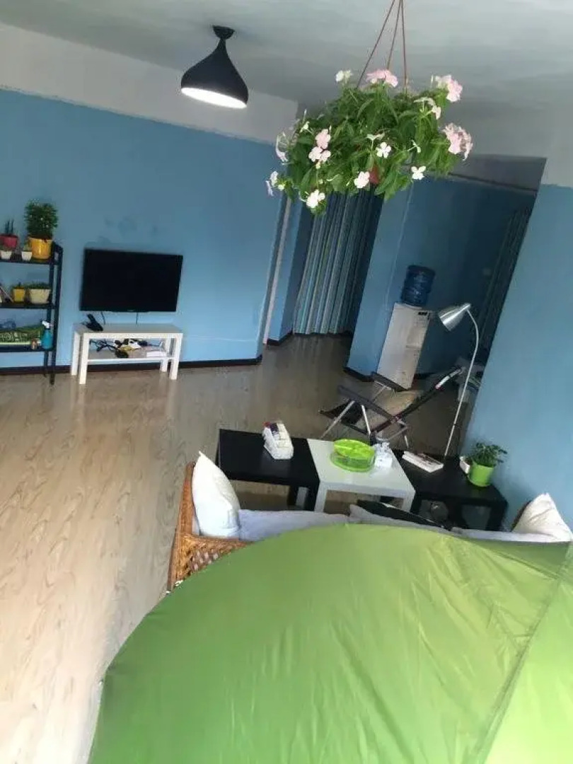 Chengdu Panda Baby Youth Hostel