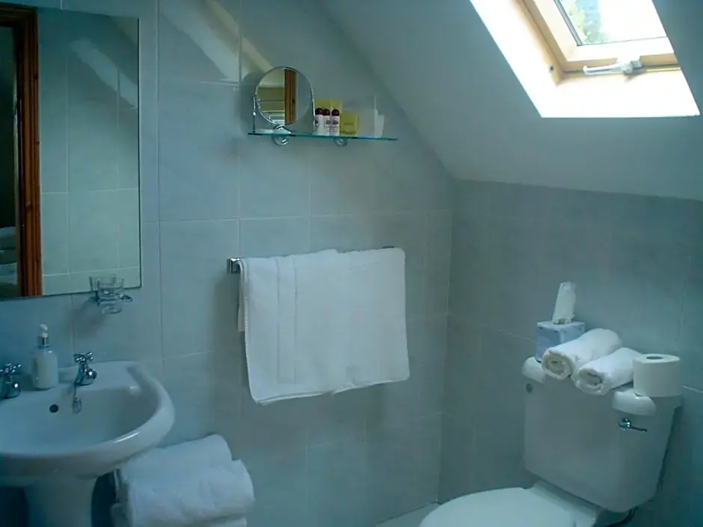 Forest Park House B&B