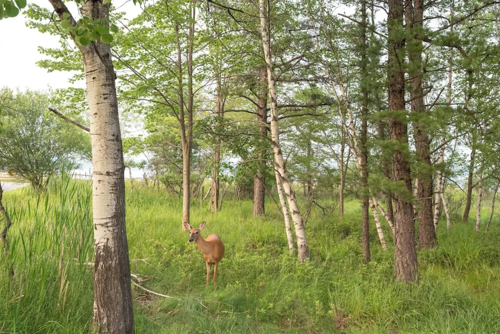 Serene Poconos Cabin w/ Hot Tub & Beach Access!