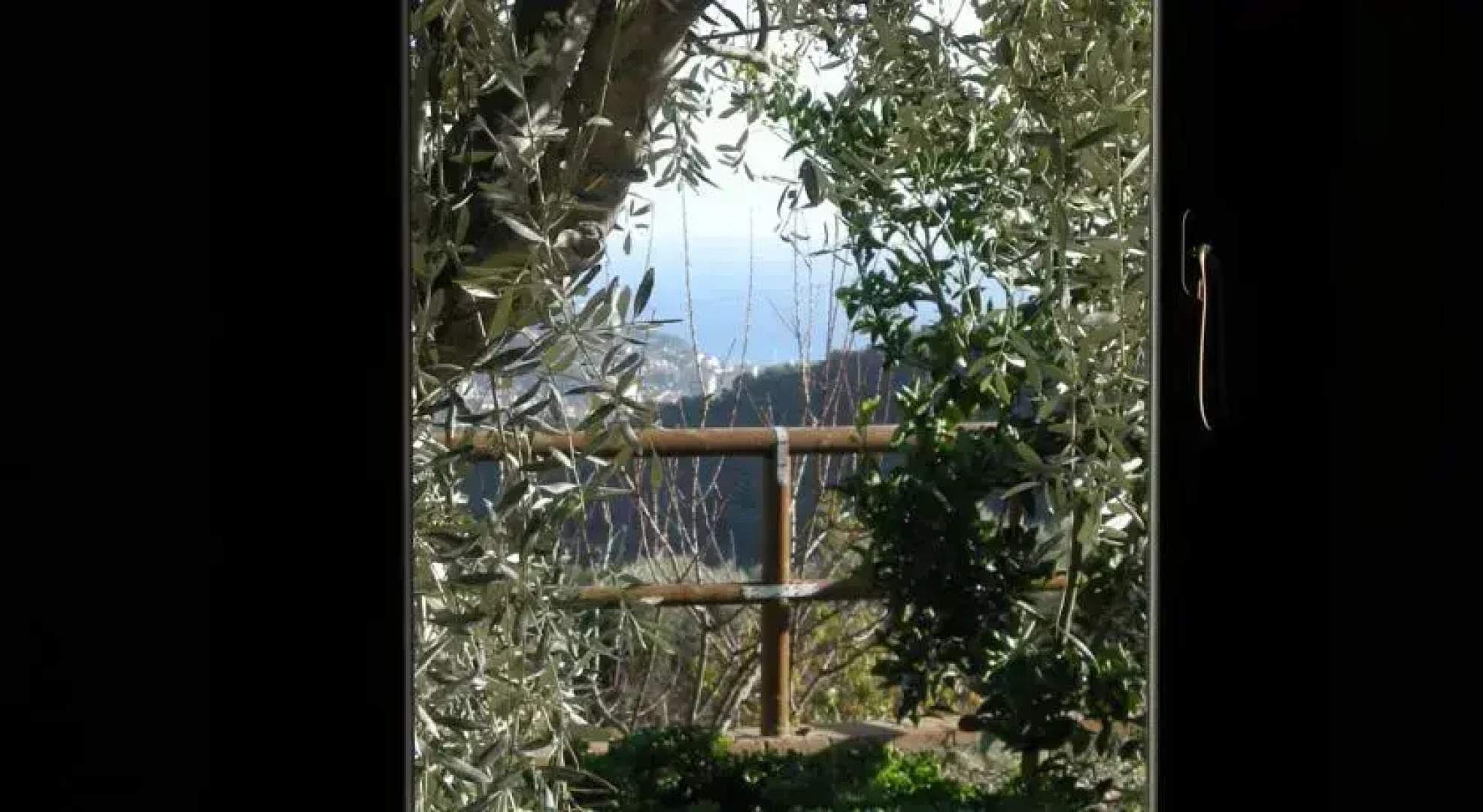 Agriturismo i Cianelli