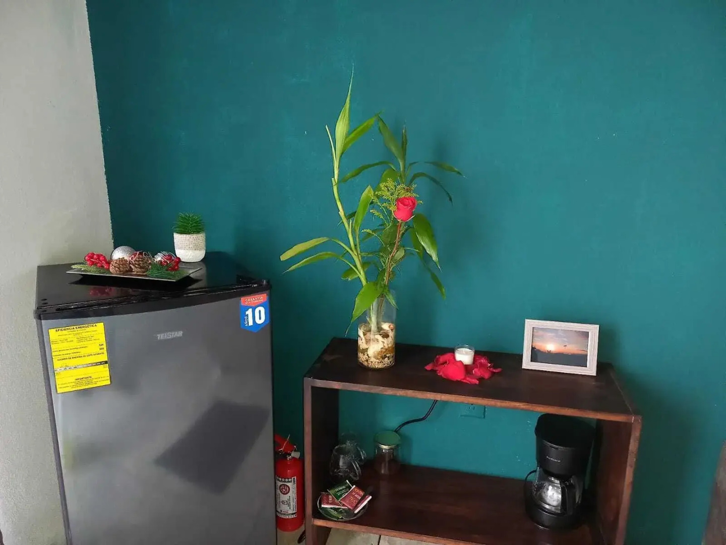 Rio Celeste Nature View