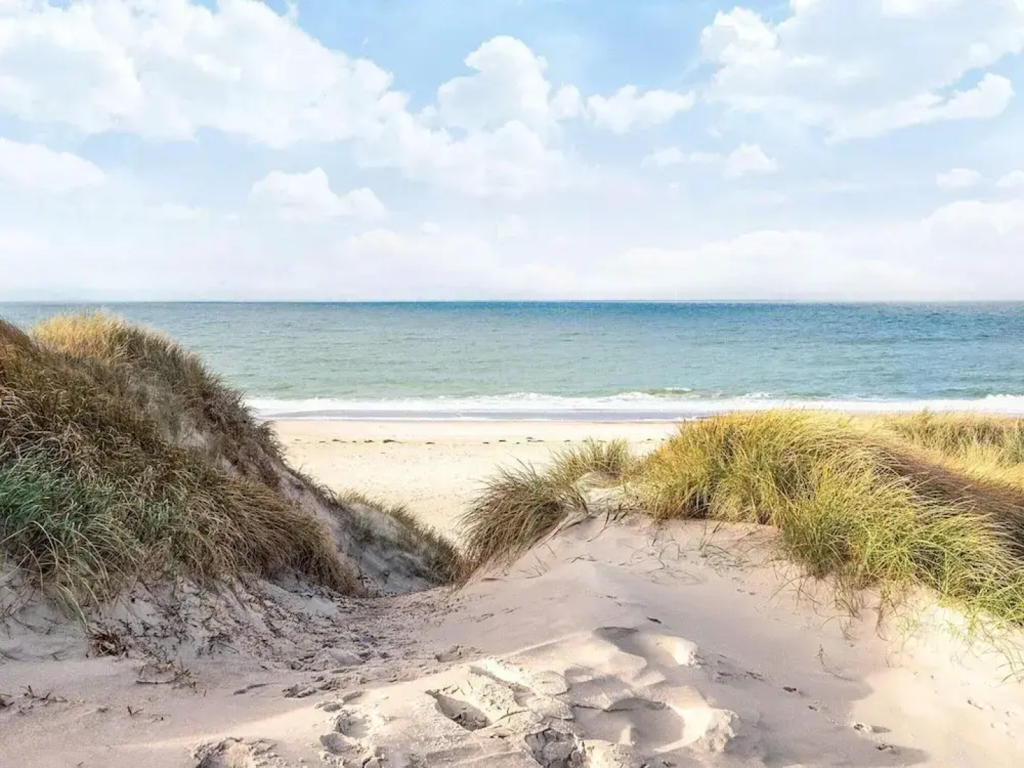 Seaside Escape With Swing