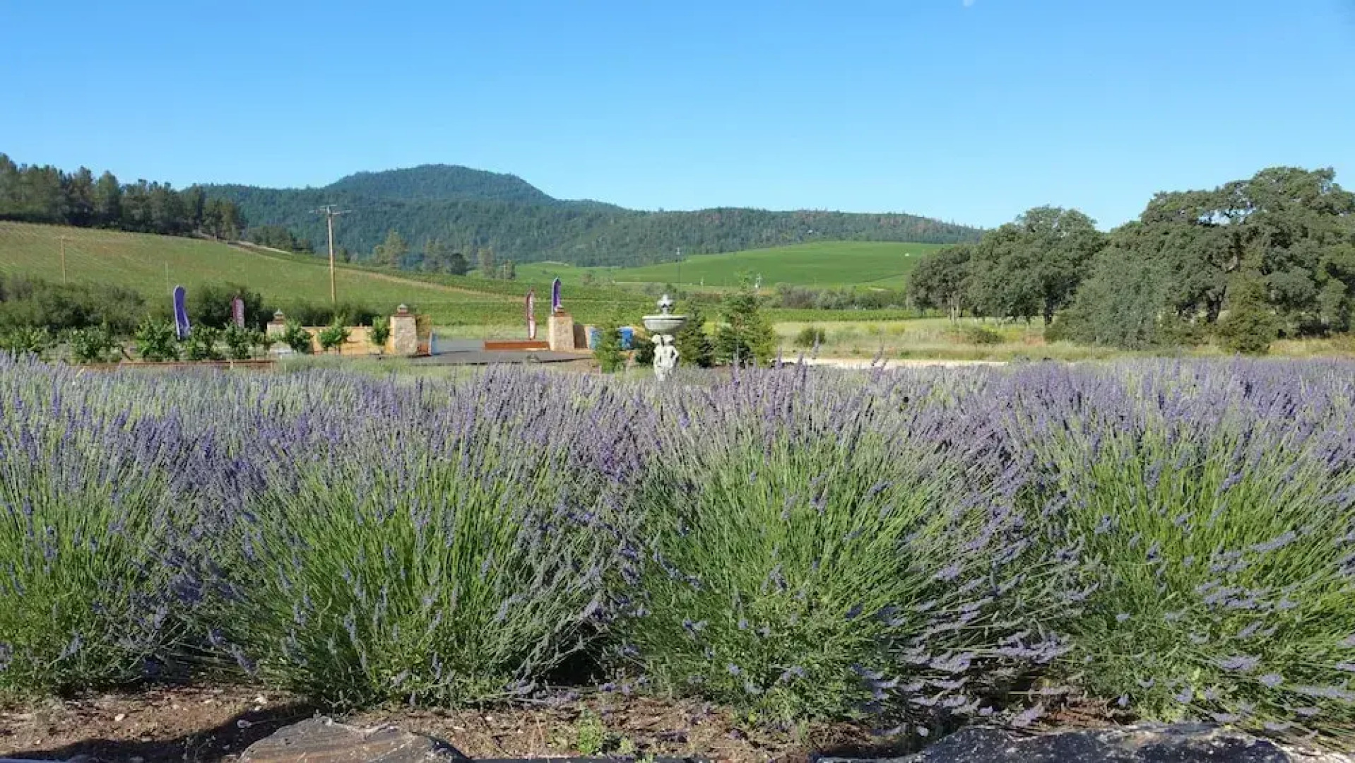 Thorn Hill Vineyards Villa Suite