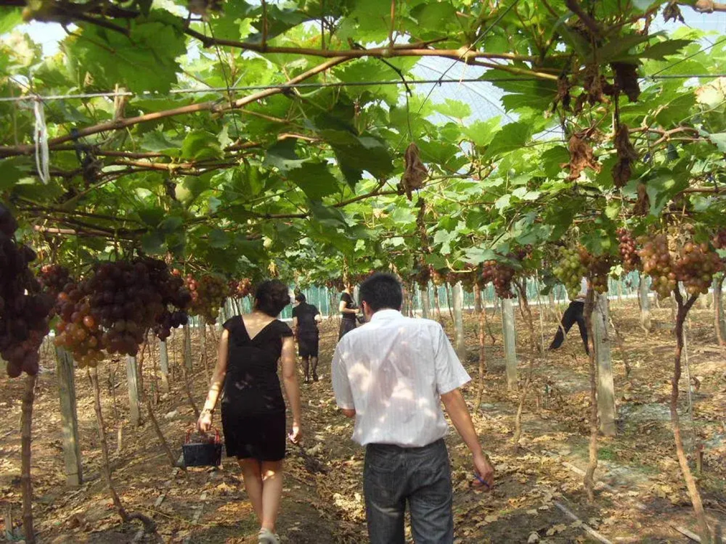 Niutoushan Leisure Clubhouse