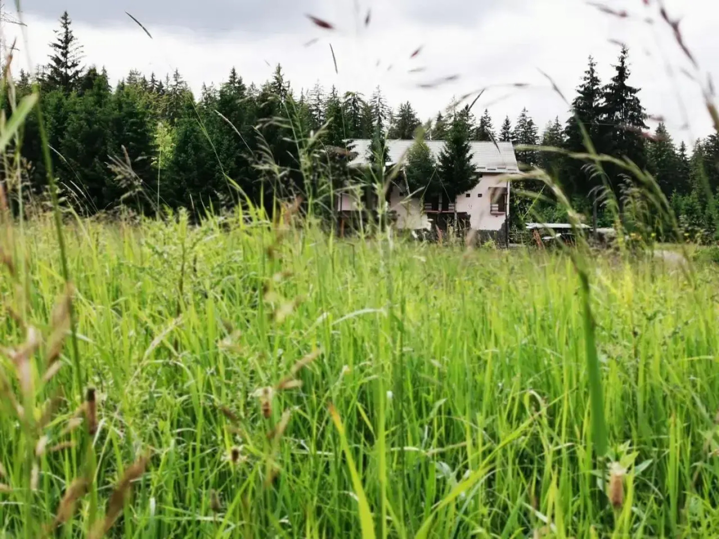 Casa de Vacanta Predeal