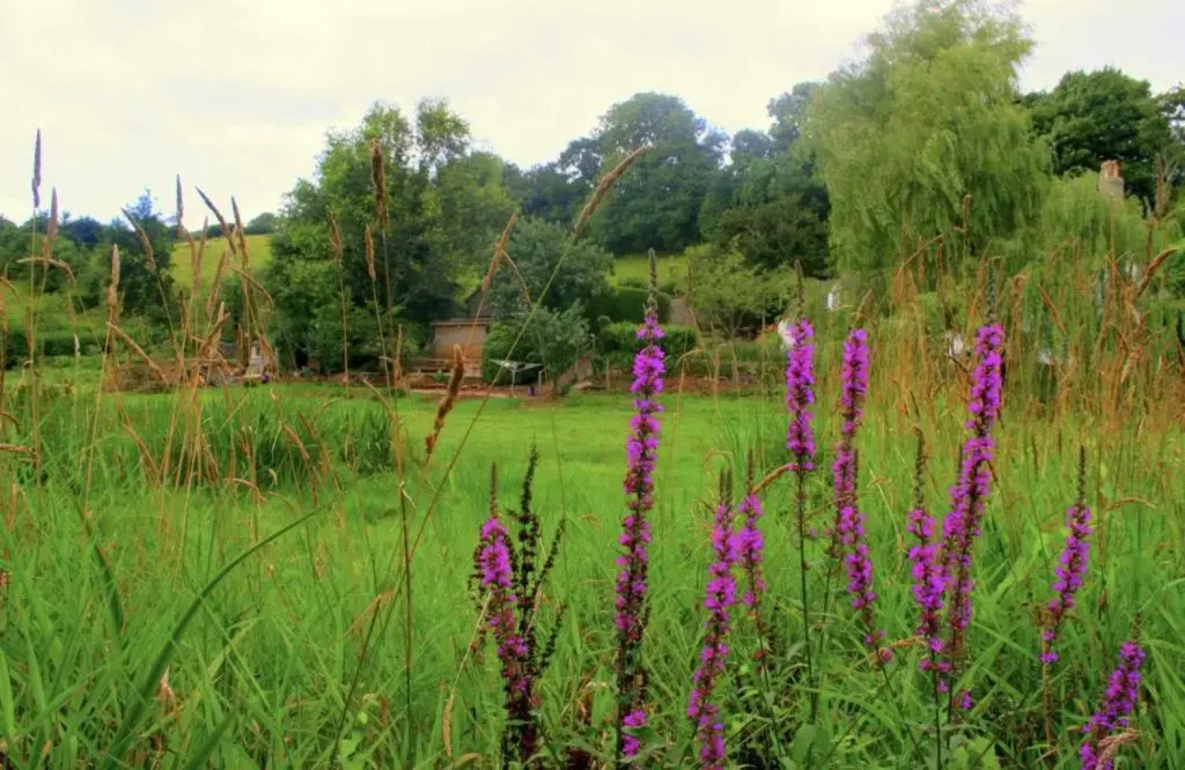 The Saltings - A Tranquil Space