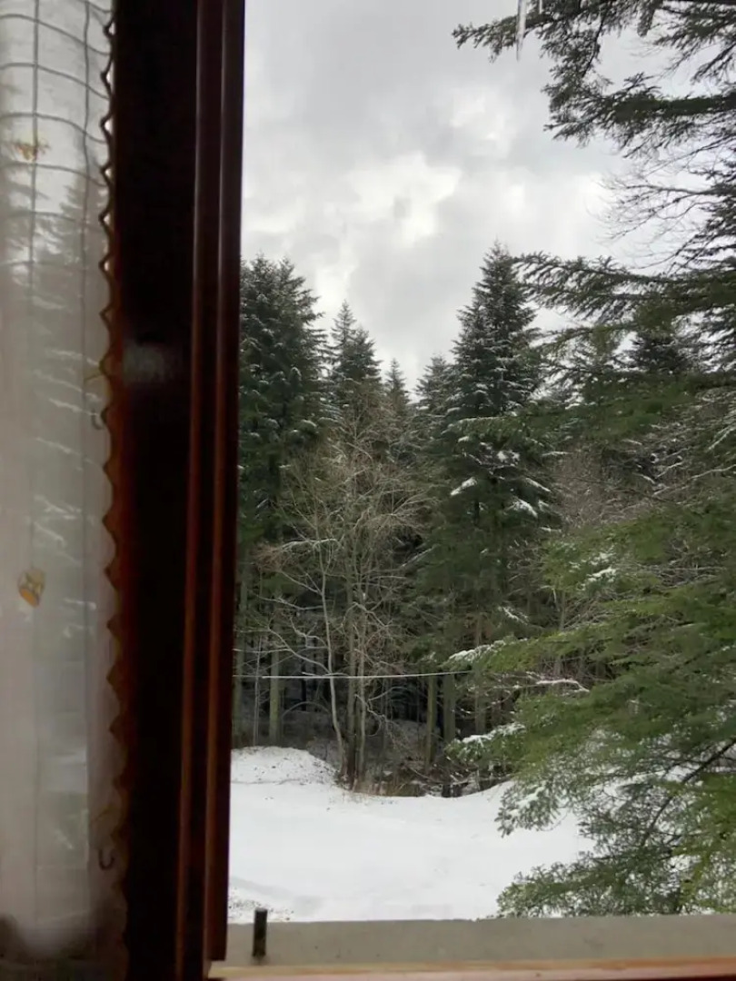 Appartamenti Boscolungo