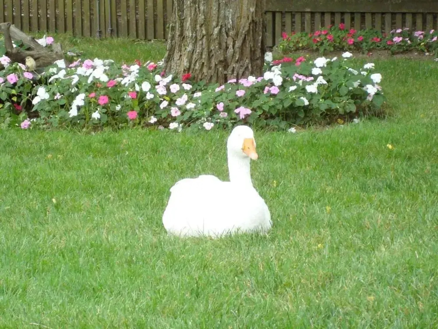 The Earl of Sandwich Motel