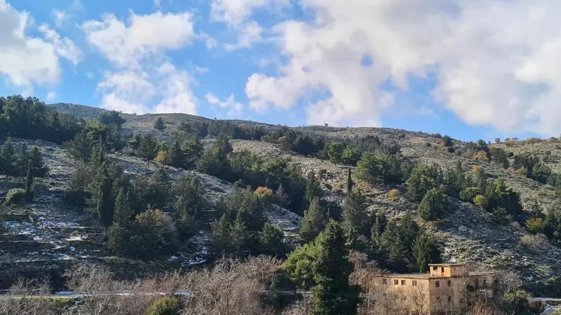 ''Prasini Folia'' Apartments - Apartment ''IDA''