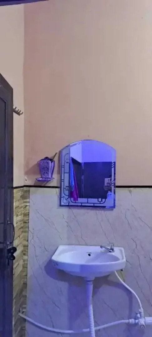 OYO 92428 New Green Hotel