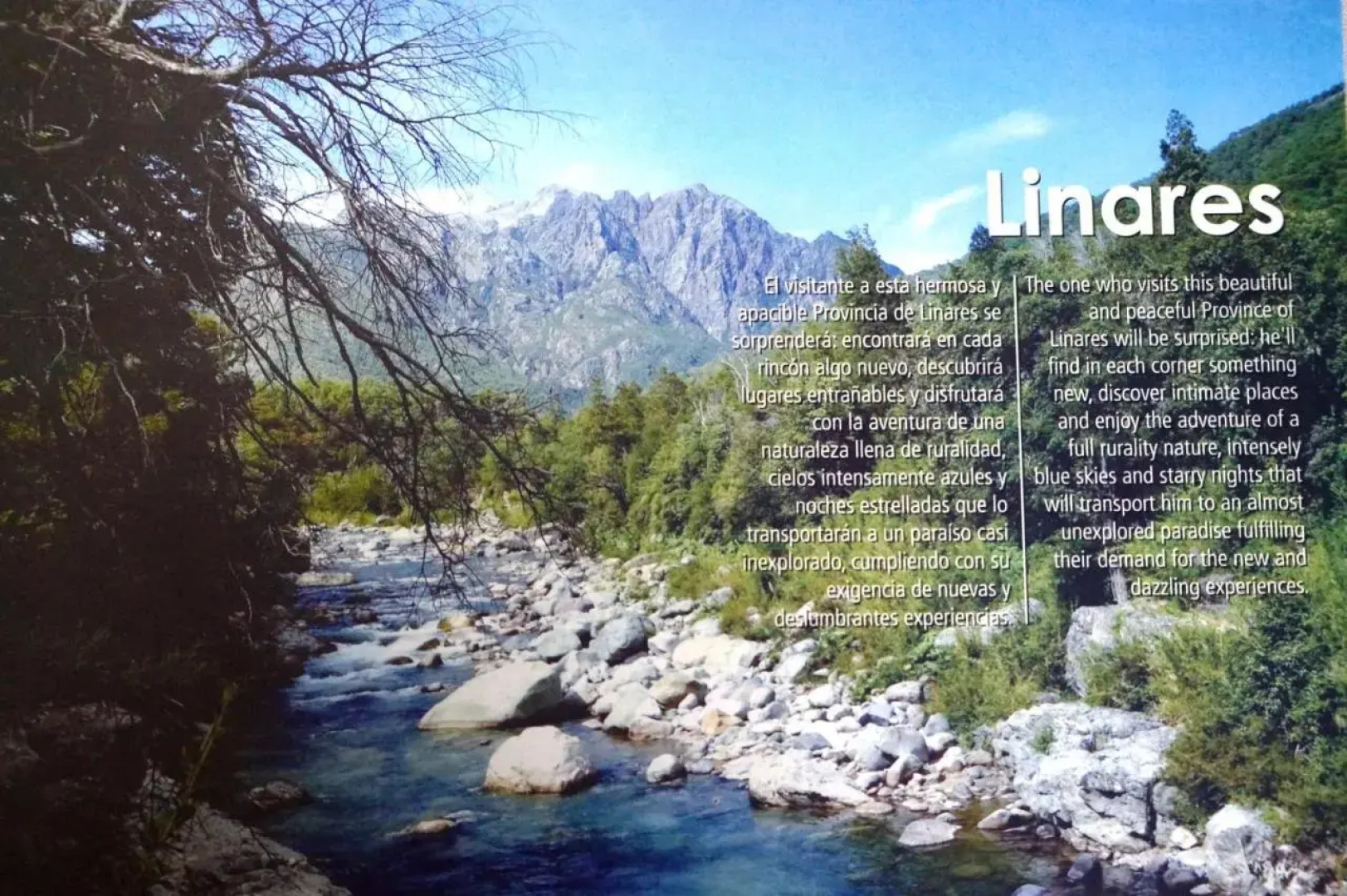 Residencial del Maule