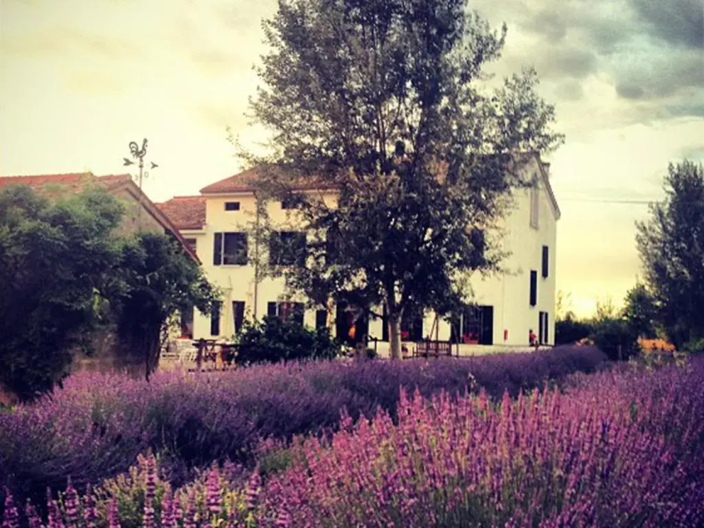 Agriturismo Viridarium