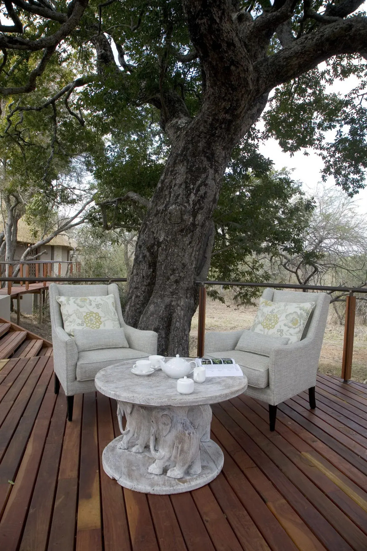 The River Lodge At Thornybush