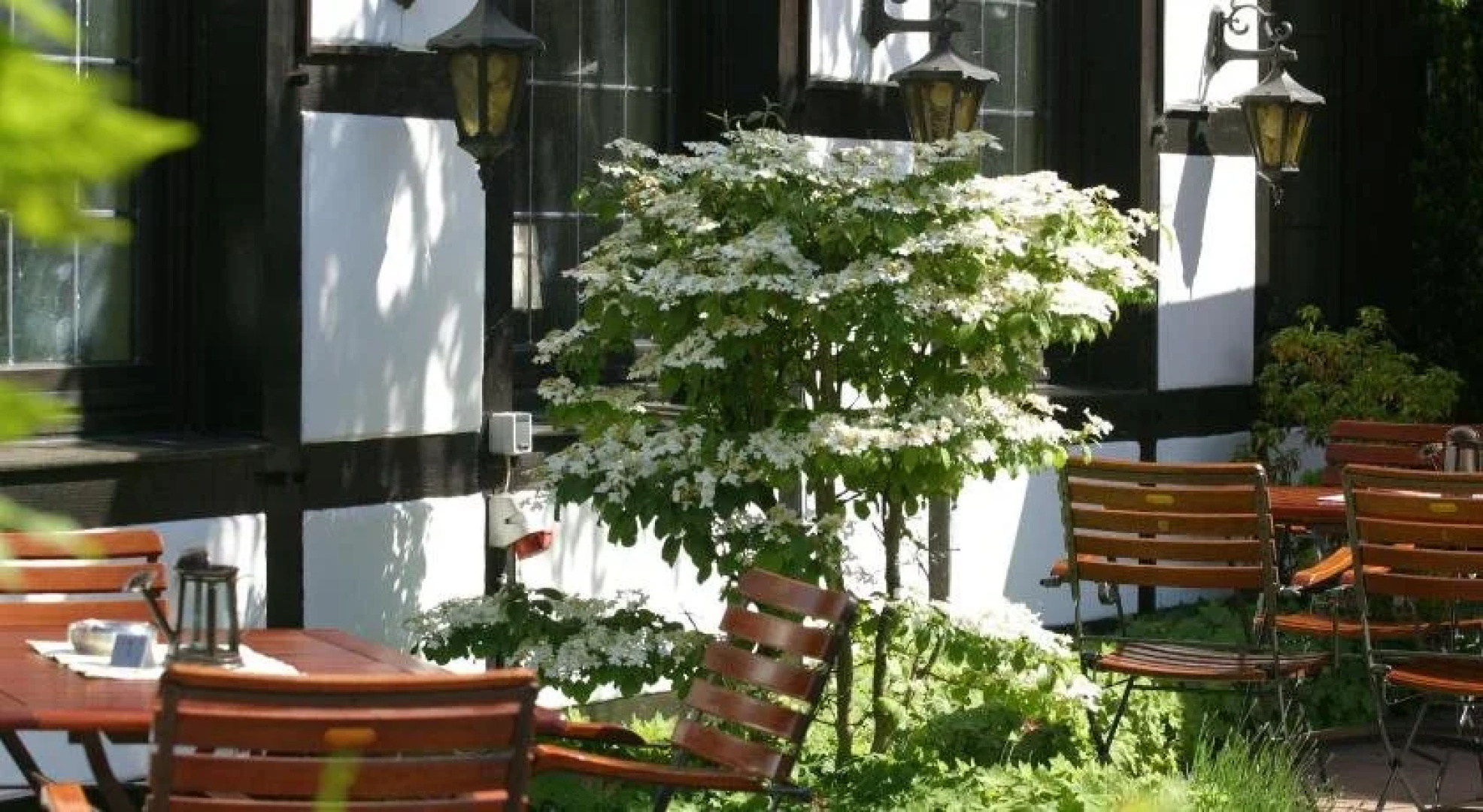 Hotel Vivendi