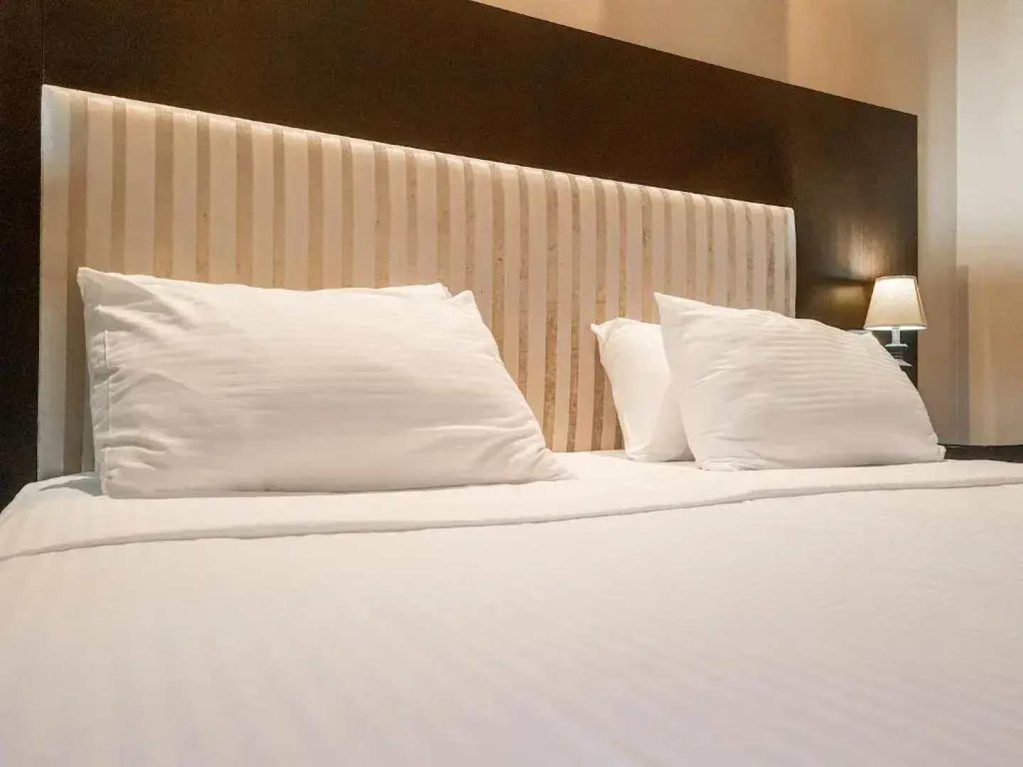 Luxury Dreamland Oasis Apartments