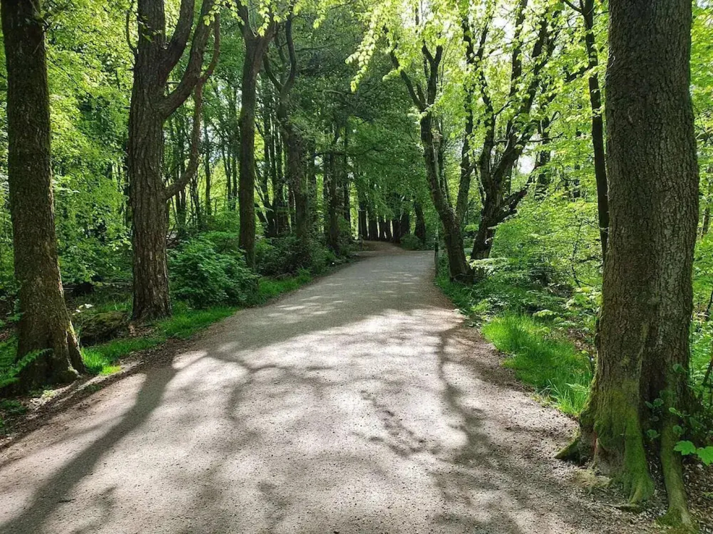 Beautiful, Spacious And Modern, 2-bedroom, Near Center, Free Parking