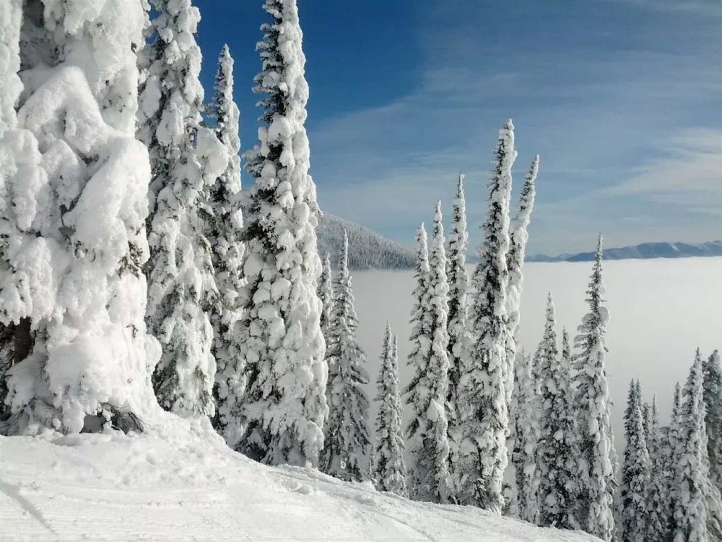 The Pines 3 Bedroom Condo