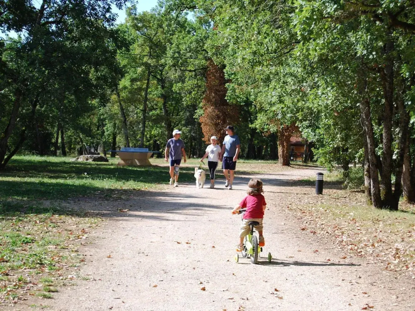 Cozy House With Covered Terrace