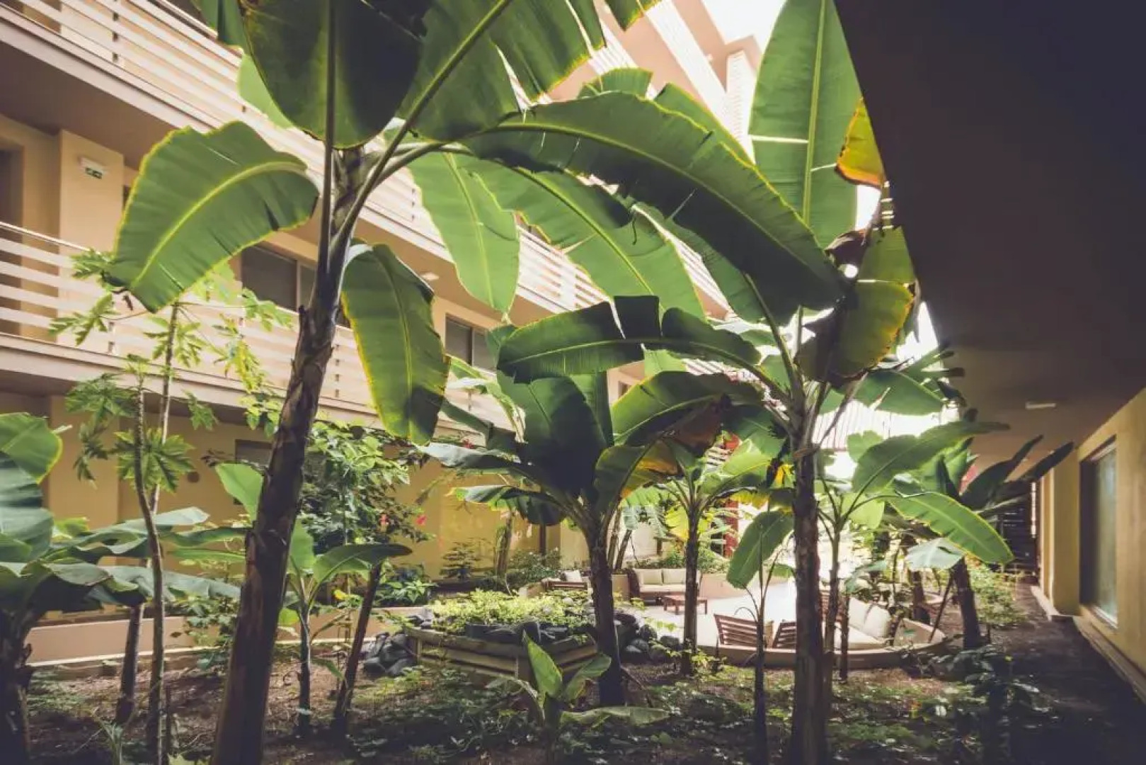 Seafront Holiday House on the Mindelo Bay