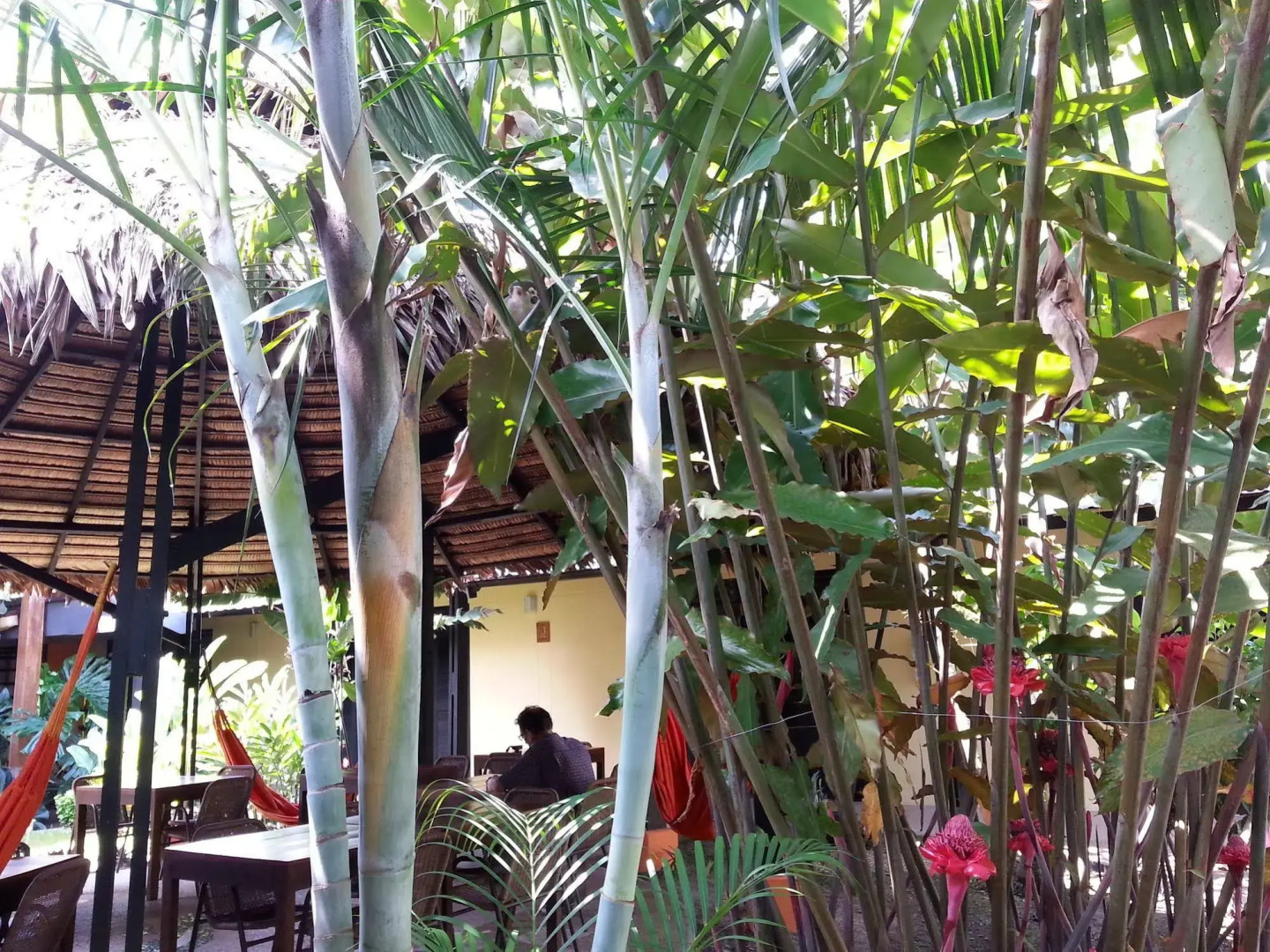 Hotel Amazon Bed & Breakfast