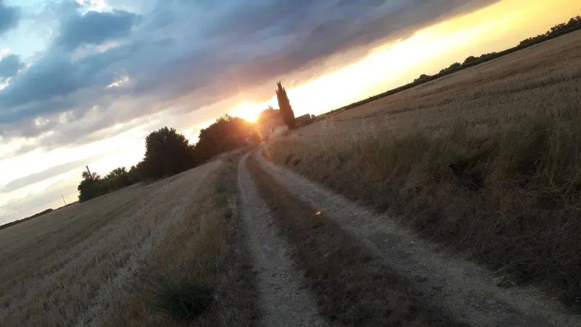 Organic Provence - Chambre d'hôte
