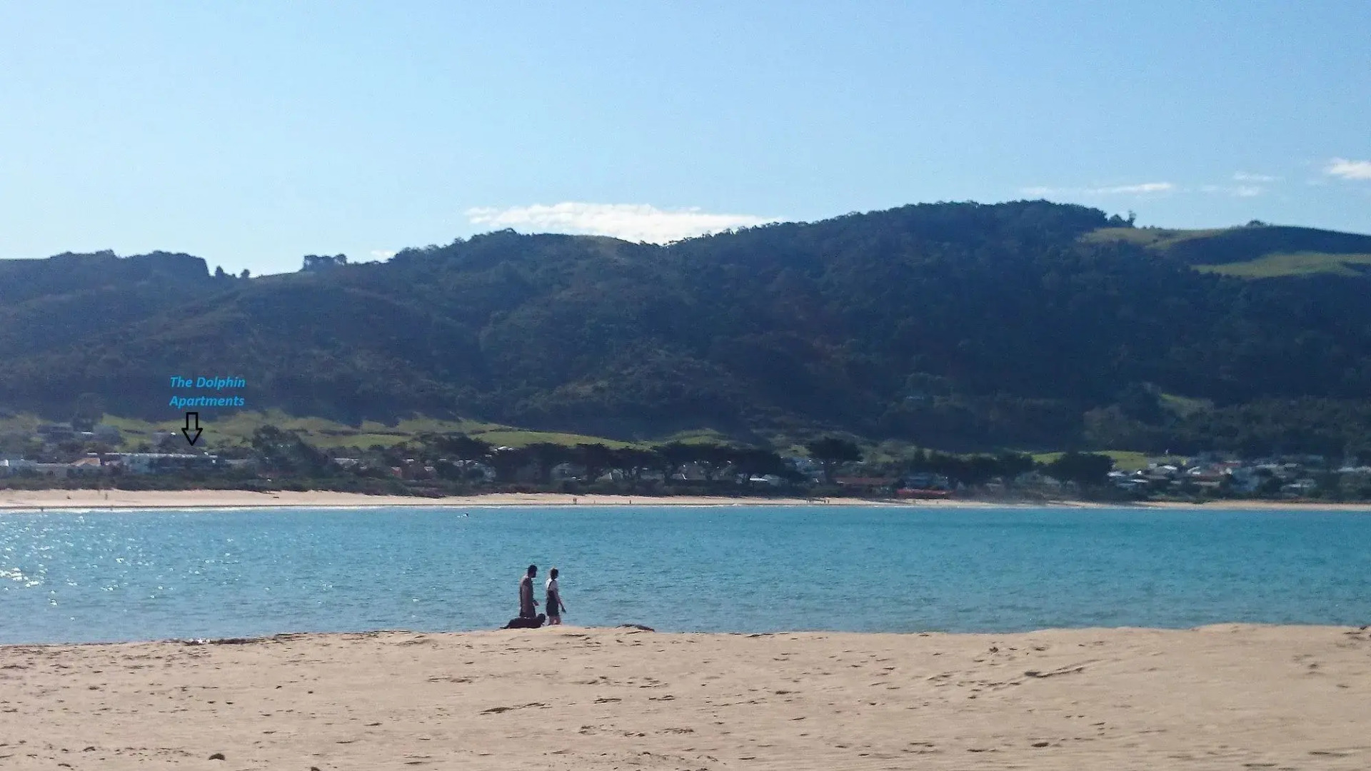 The Dolphin Apartments