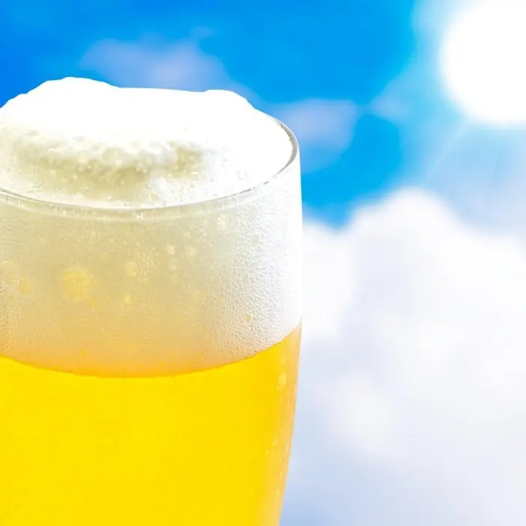 Forest Resort Conifer Iwabitsu