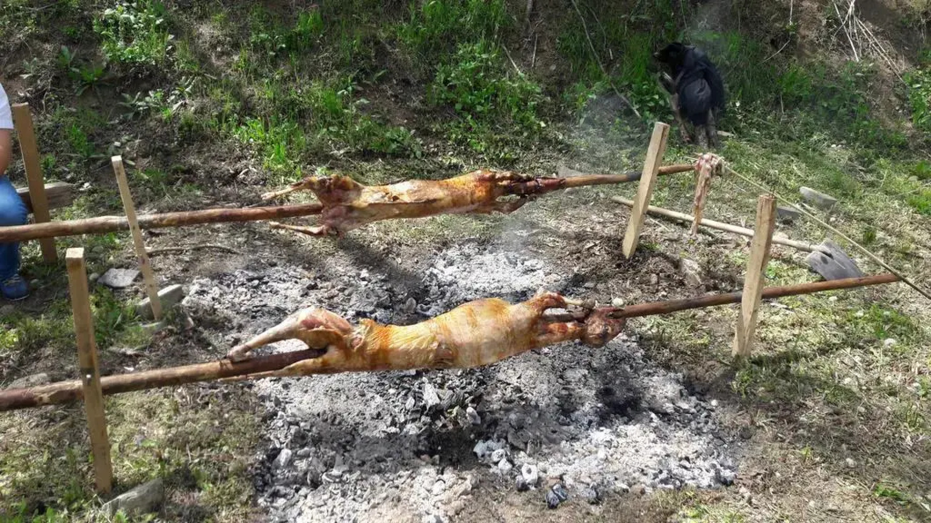 Perpershka River Villas