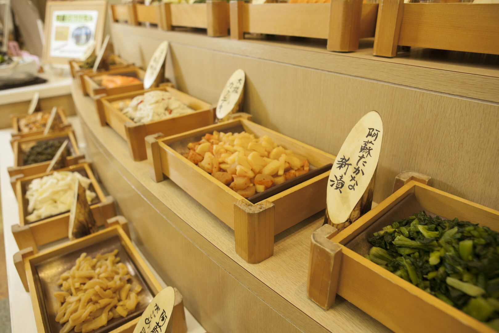 Kyukamura Minami-Aso