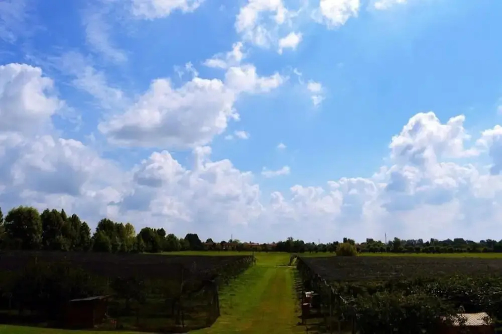 Agriturismo Sartori Terenzio