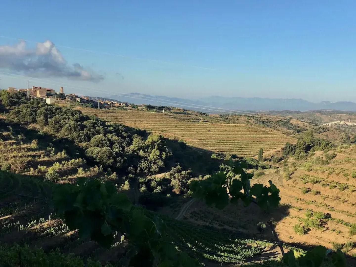 Cal Campana - Adults Only