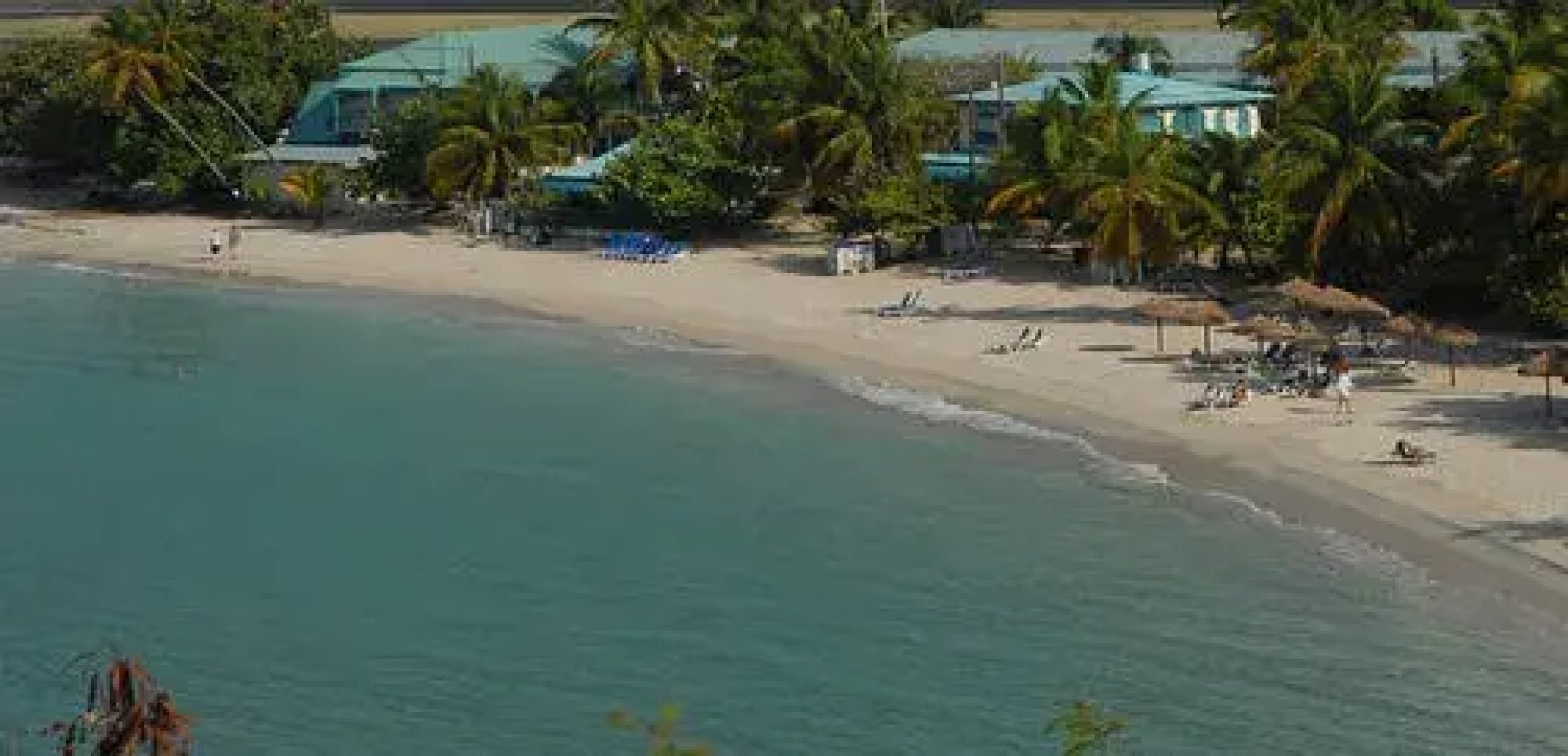 Island Beach Comber
