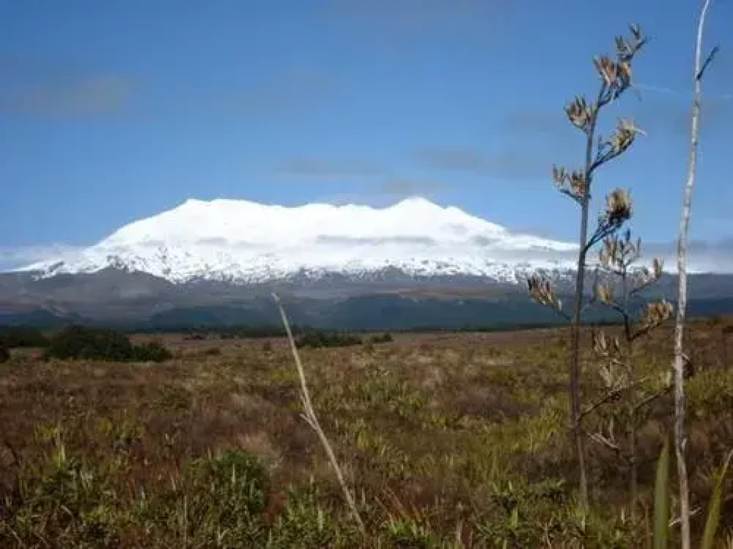 StDavids Ruapehu