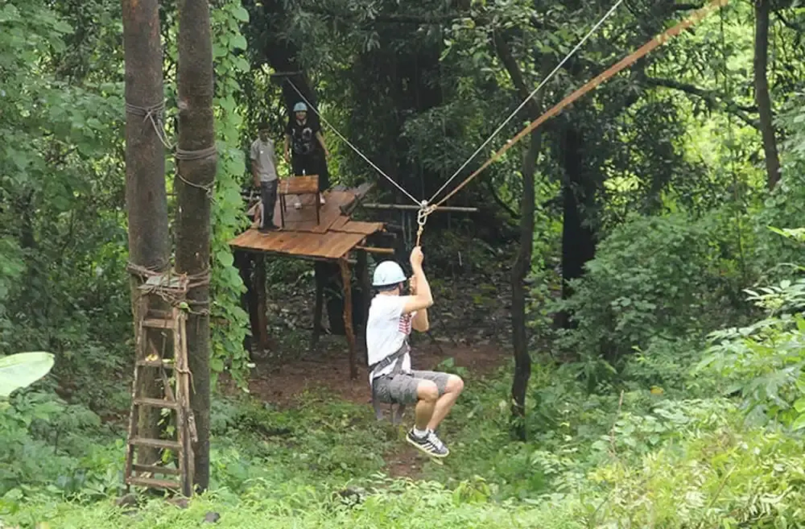 Sterling Nature Trails Kundalika, Kolad