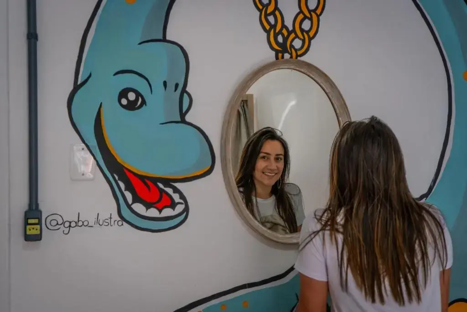 Araucária Hostel e Pousada