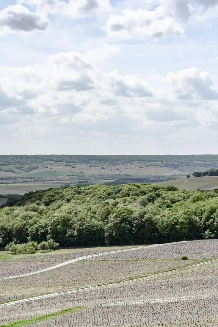 Royal Champagne Hotel & Spa