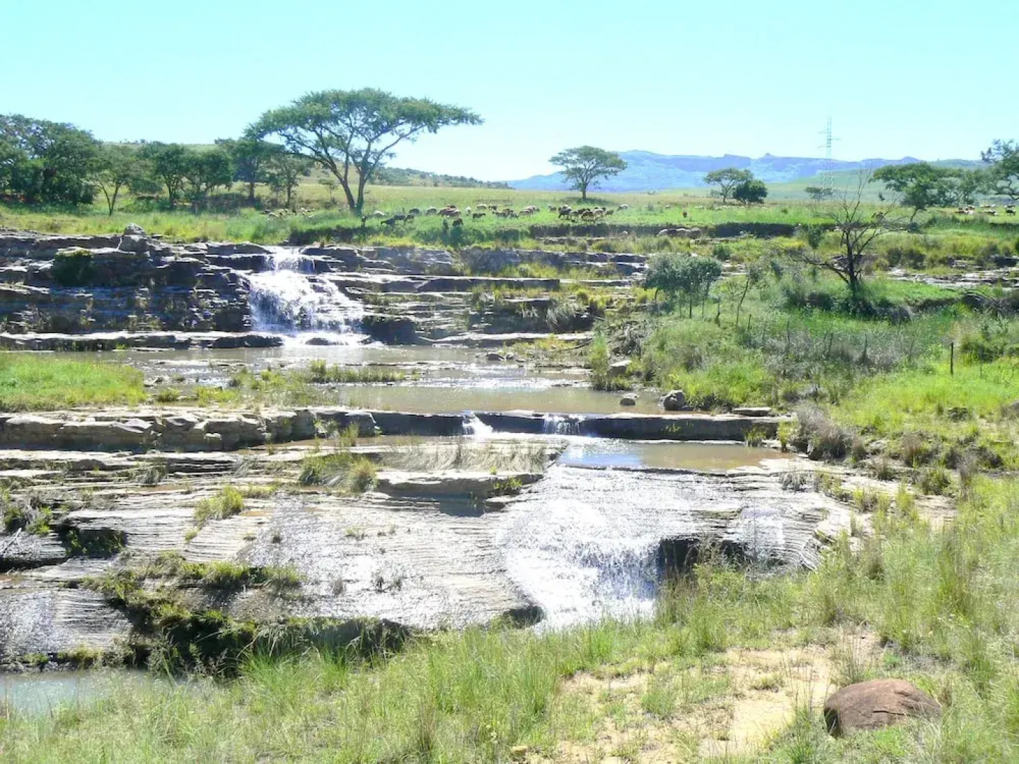 The Homestead Guest House and S-Catering