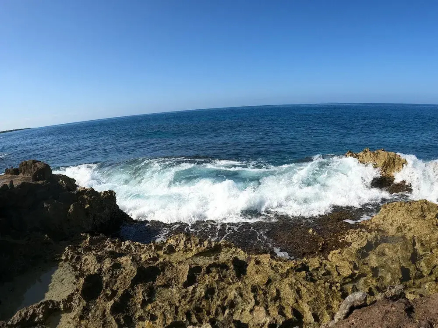 Coral Cove Wellness Resort