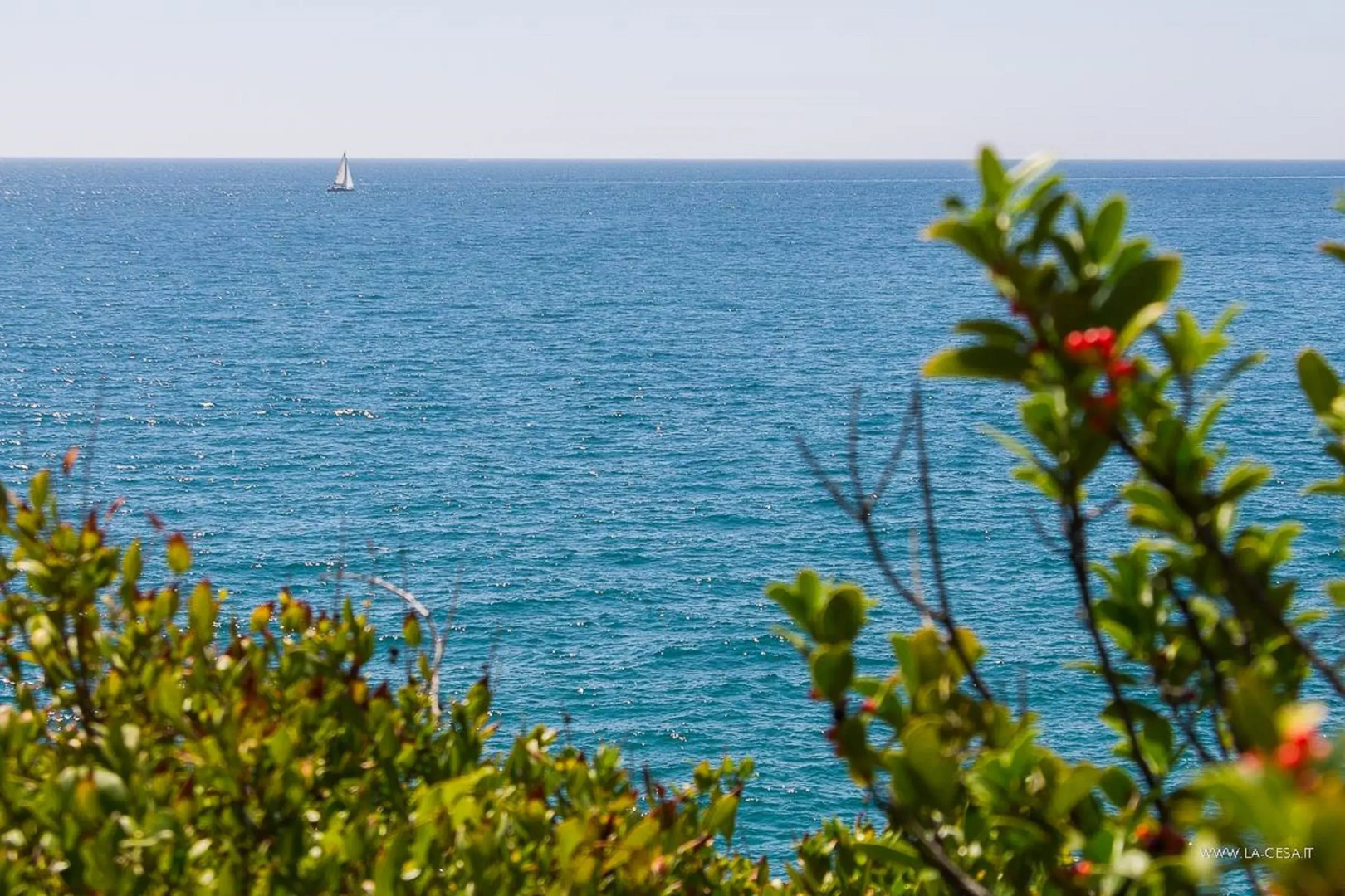 La Cesa Casa Vacanze