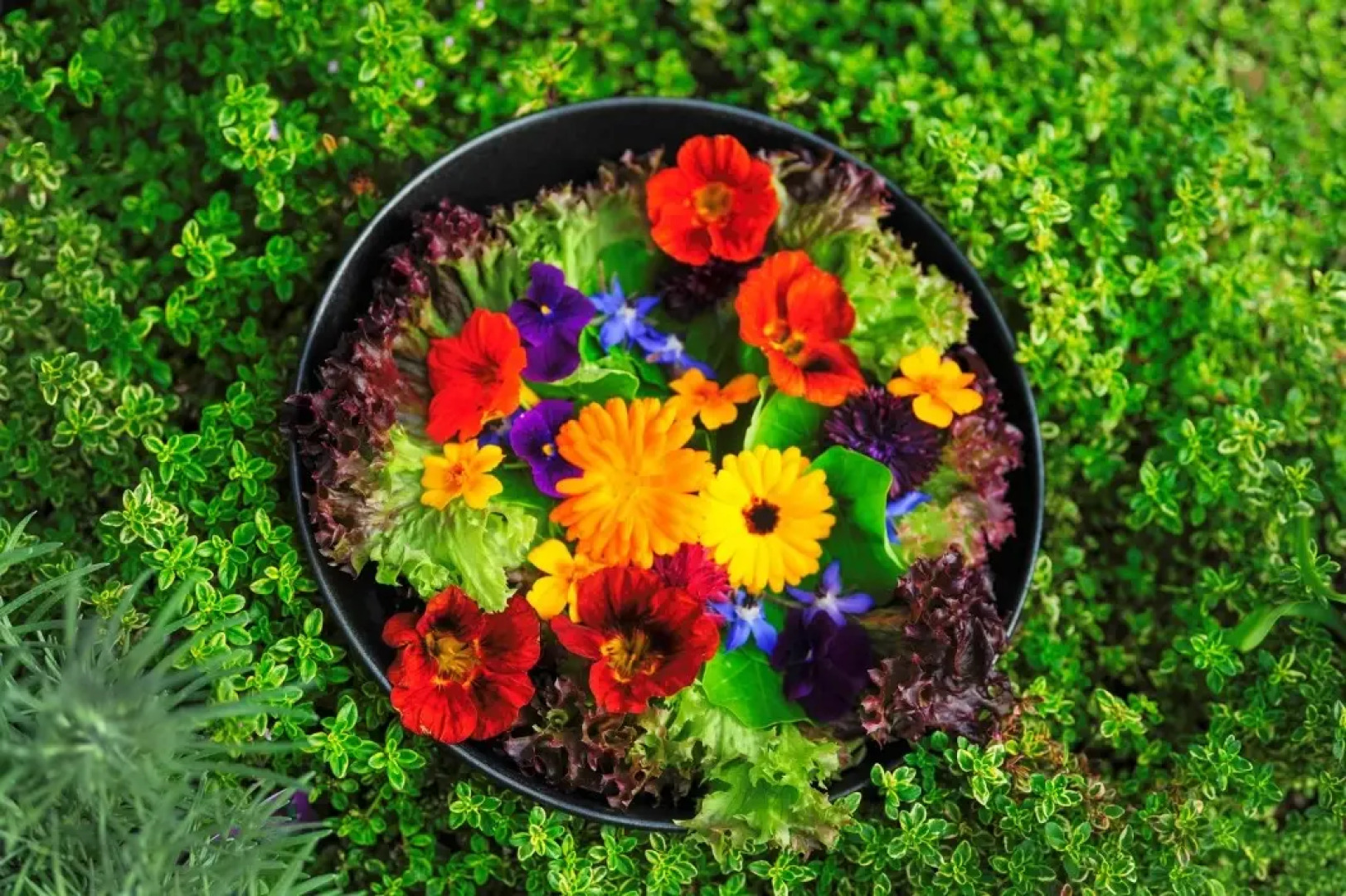 Søstrene Storaas Hotell