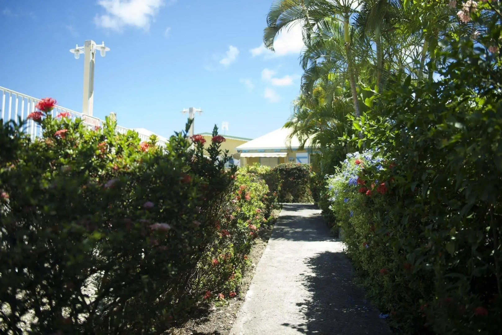 Village de Bragelogne