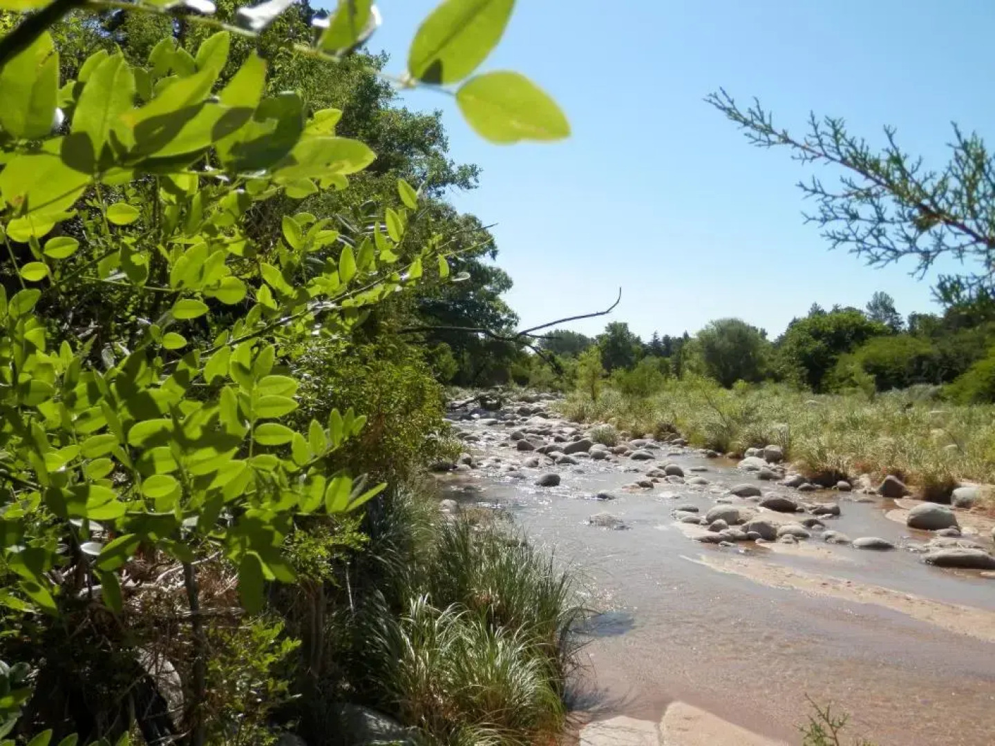 Manantial Hostería & Cabañas