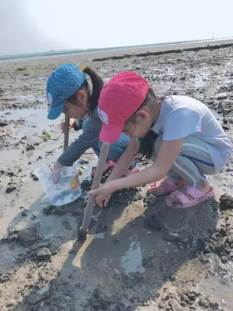 Migrator Intertidal Homestay